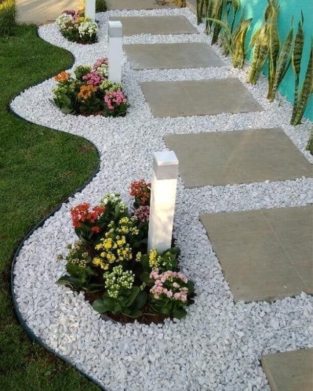 Bright Pathways with Budget Plants