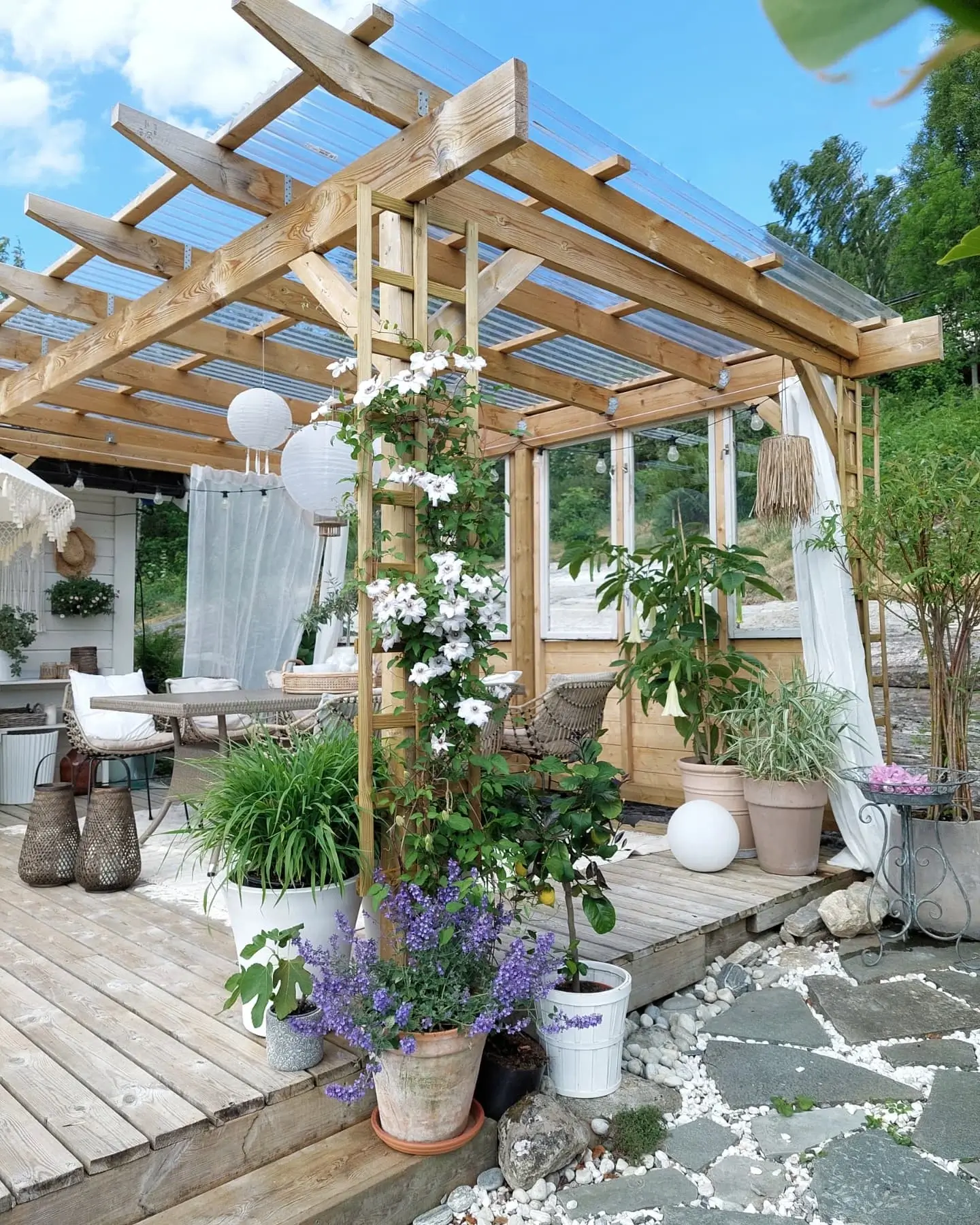 Elevate Outdoor Living with Vines