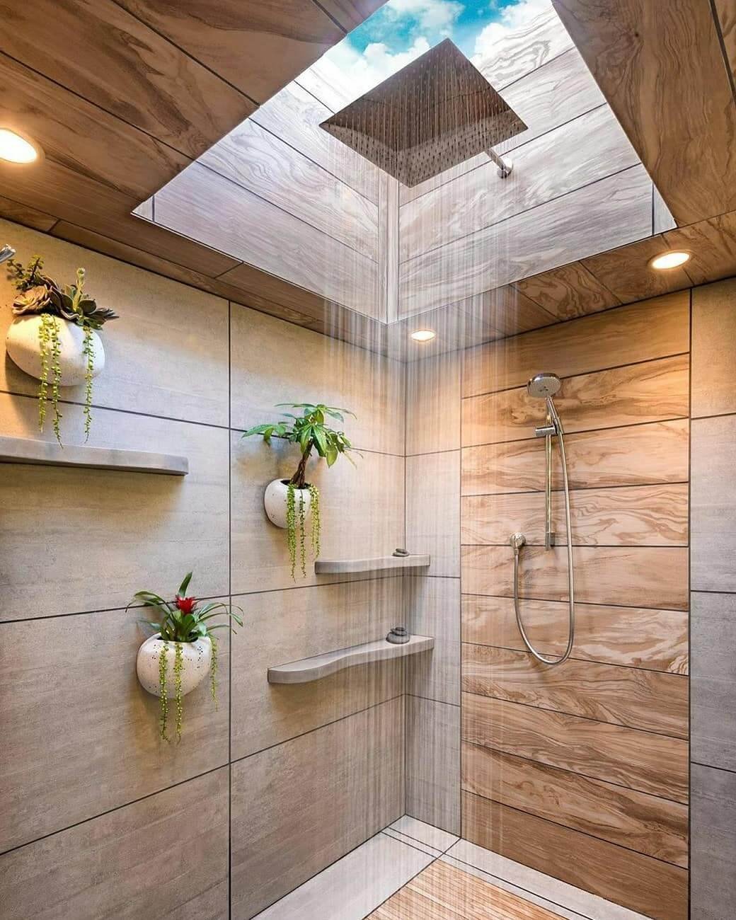 Revitalize with Plants and Light