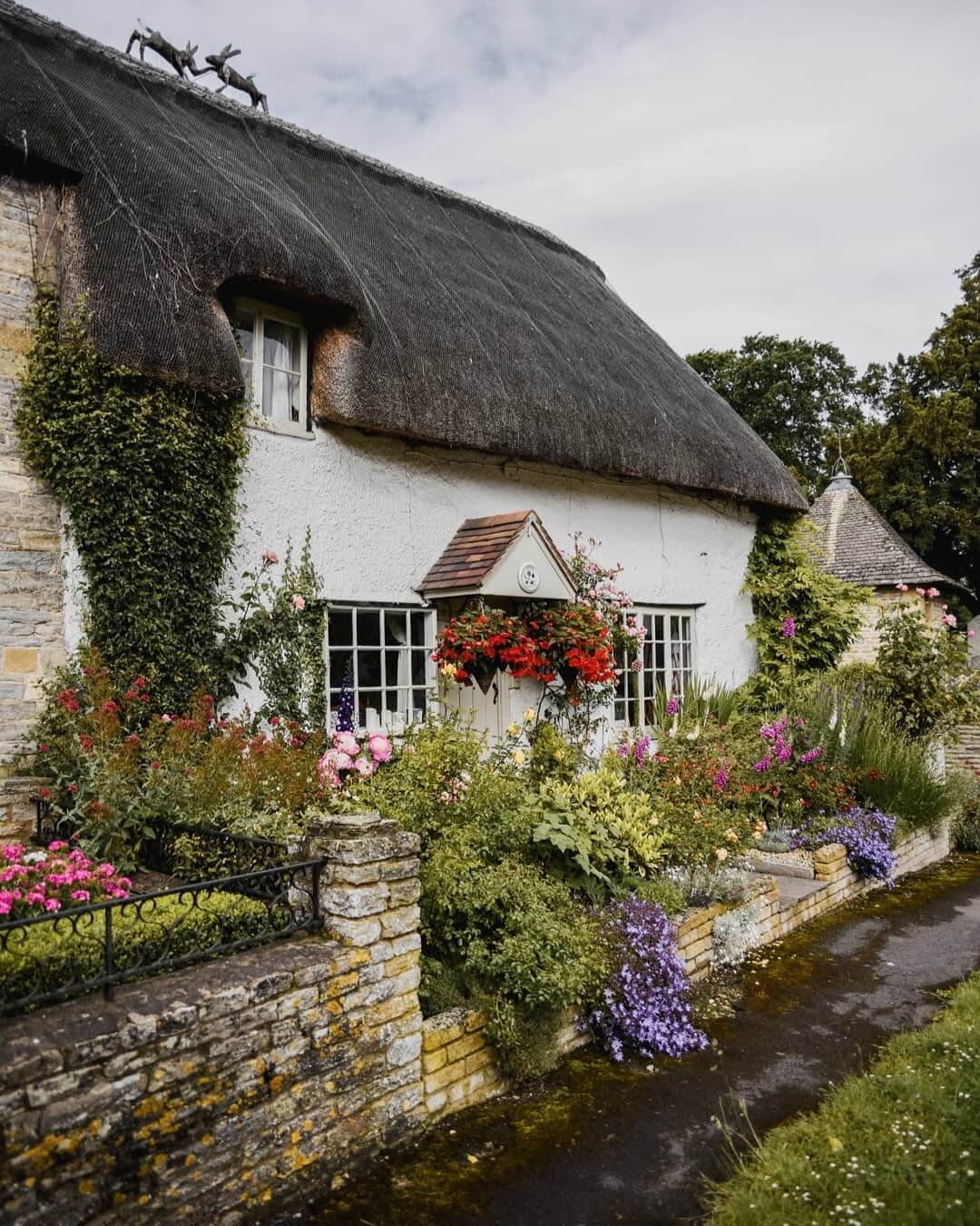 Vibrant Cottage Garden Layers