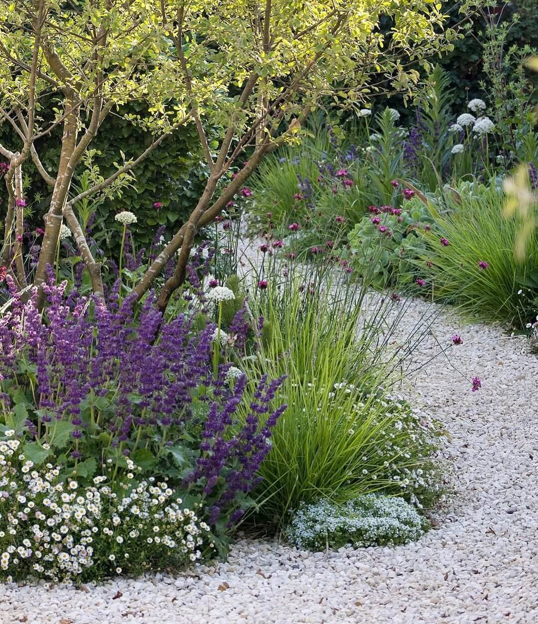 Vibrant flowers and winding paths