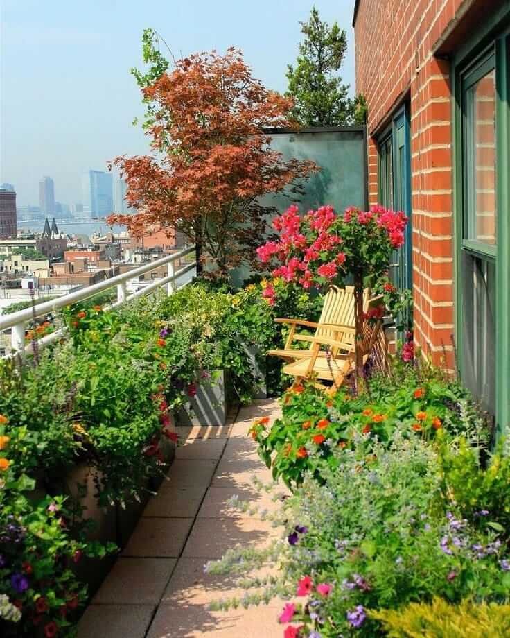 Vibrant Flowers for Urban Serenity